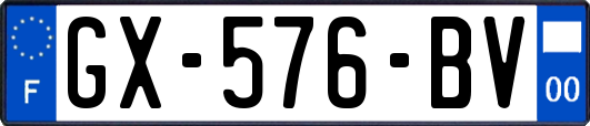 GX-576-BV