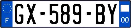 GX-589-BY