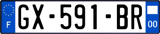 GX-591-BR