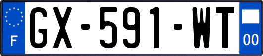 GX-591-WT