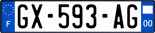 GX-593-AG