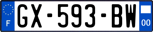 GX-593-BW
