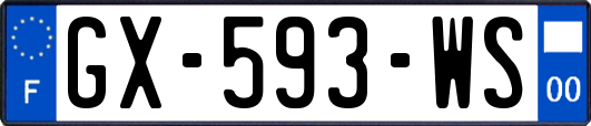 GX-593-WS