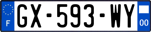 GX-593-WY