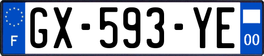 GX-593-YE