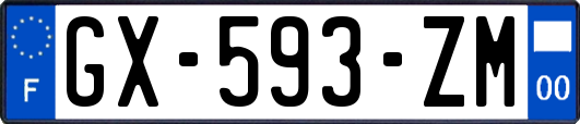 GX-593-ZM