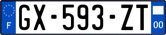 GX-593-ZT