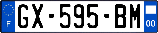 GX-595-BM