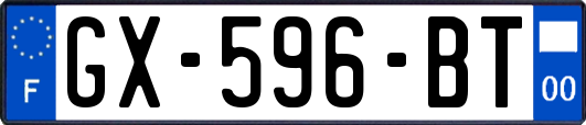 GX-596-BT
