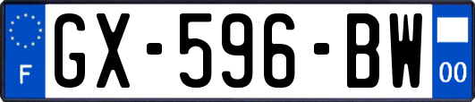 GX-596-BW