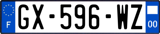 GX-596-WZ