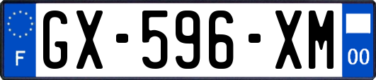 GX-596-XM