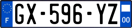 GX-596-YZ