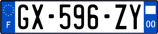 GX-596-ZY