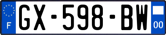 GX-598-BW