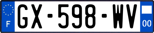 GX-598-WV