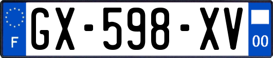 GX-598-XV