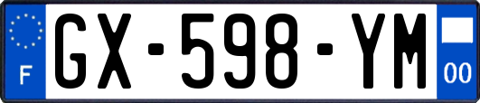 GX-598-YM