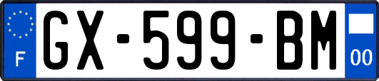 GX-599-BM