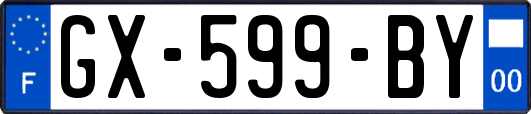 GX-599-BY