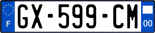 GX-599-CM