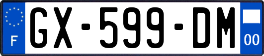 GX-599-DM