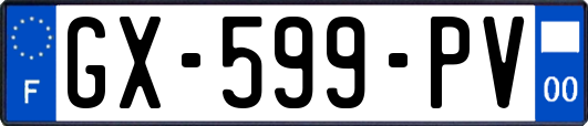 GX-599-PV