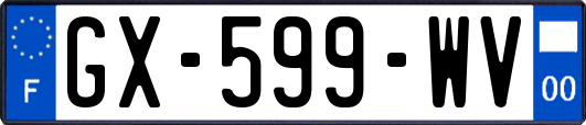 GX-599-WV