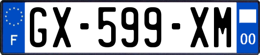 GX-599-XM