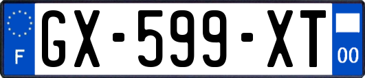 GX-599-XT