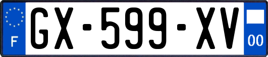 GX-599-XV