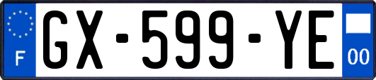 GX-599-YE
