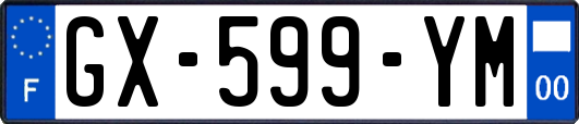 GX-599-YM