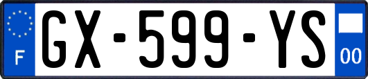 GX-599-YS