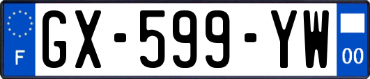 GX-599-YW
