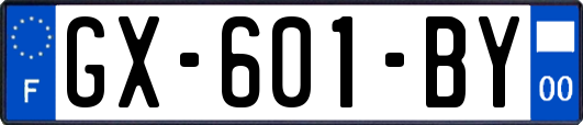 GX-601-BY