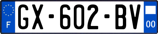 GX-602-BV