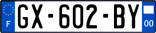 GX-602-BY