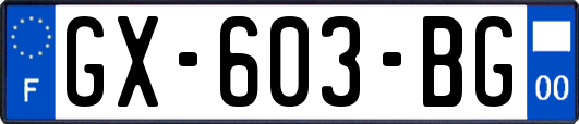 GX-603-BG