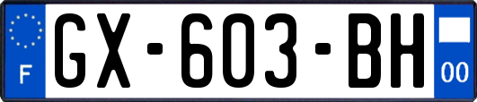 GX-603-BH