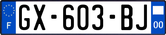 GX-603-BJ