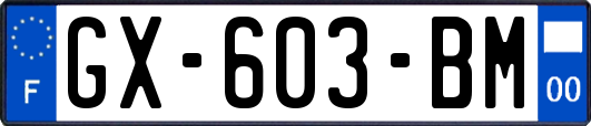GX-603-BM