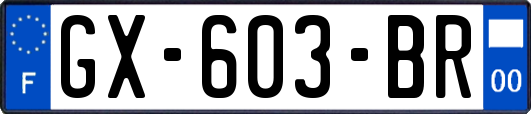 GX-603-BR