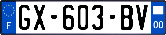 GX-603-BV