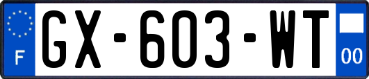 GX-603-WT