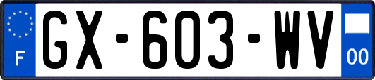GX-603-WV