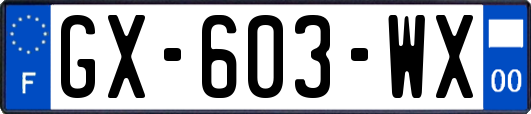 GX-603-WX