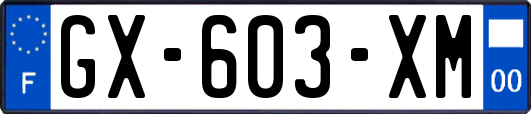 GX-603-XM