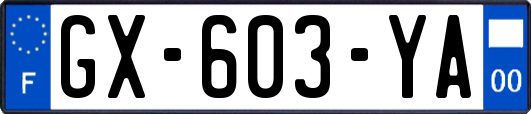 GX-603-YA