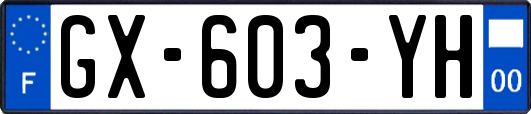 GX-603-YH